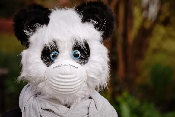 BetOriginal Casino Assistance